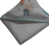 438814876_2136882916674724_1741309700962528134_n-removebg-preview