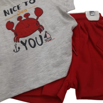 IMG-20240429-WA0040-removebg-preview