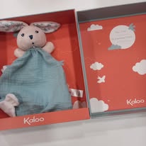 467910494_2319516828411331_3680232918560441316_n